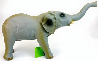 Африканский слон - 3D-сцены - Цифровое образование и обучение Мozaik