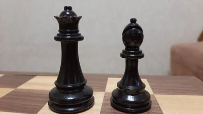 слон шахматные фигуры в белом и черном Фото Фон И картинка для бесплатной  загрузки - Pngtree