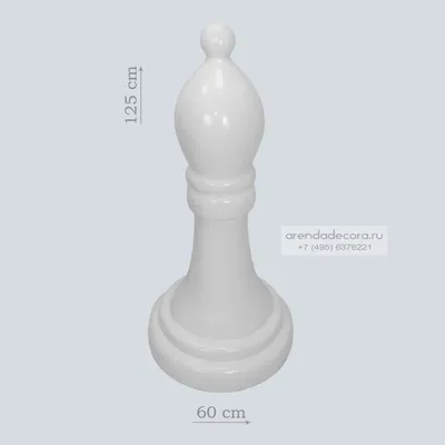 [75+] Слон в шахматах фото фото