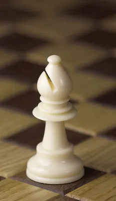 Фигура шахматная Слон черная - Настолкино — магазин настольных игр