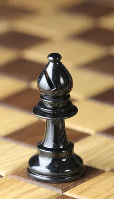 Слон (шахматы) | это... Что такое Слон (шахматы)?