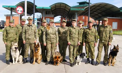 Служебные собаки в Хабаровском крае показали на что способны - AmurMedia.ru