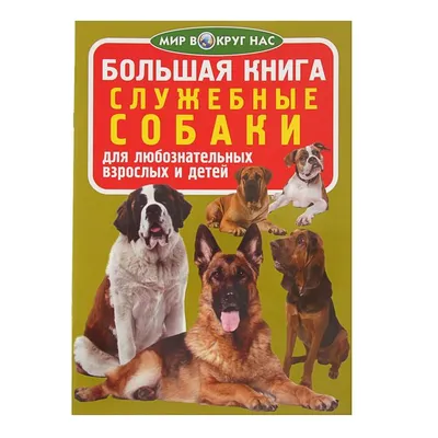 Полицейские со служебными собаками проводят рейды в школах Курземе. Ищут  «вейпы» / Статья