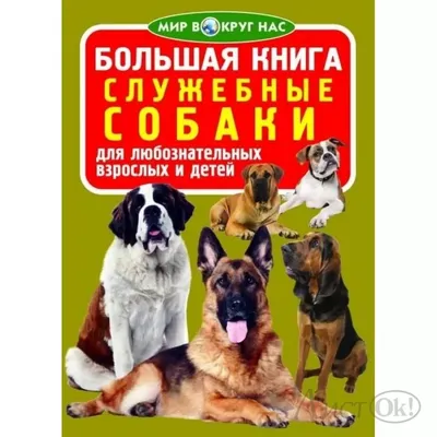 Из мощных бойцов в няшных песиков: служебные собаки ФСИН проявили себя на  состязании в Подмосковье