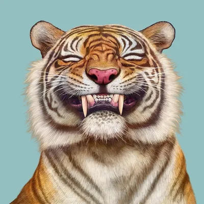 10,404 смешной тигр стоковые фото – бесплатные и стоковые фото RF от  Dreamstime