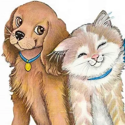 Смешные фото с кошками и собаками, которых «застукали на горячем» - Ink