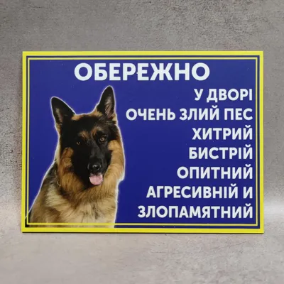 Табличка Осторожно злая собака. Прикол с надписью на суржике от Мир стендов  - 1551994793