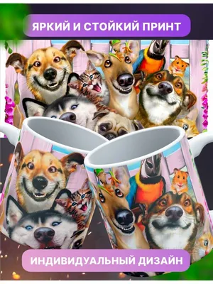 Кружка с принтом \"Мем собака, смешные собаки\" 330мл — купить в  интернет-магазине по низкой цене на Яндекс Маркете