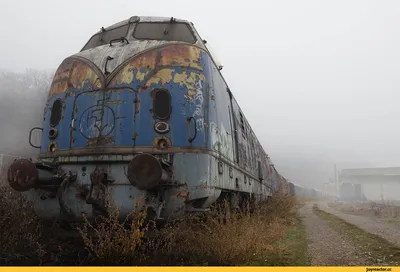 Вези меня, поезд мечты»: 10 атмосферных и смешных фото из российского  плацкарта - Рамблер/женский