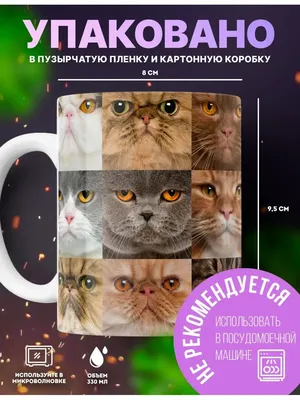 Кружка с принтом \"Мем коты, смешные котики\" 330мл RocketPRINT 157363968  купить за 395 ₽ в интернет-магазине Wildberries