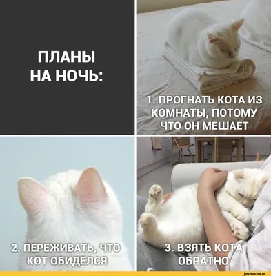 Характеристики модели Кружка с принтом \"Мем коты, смешные котики\" 330мл —  Кружки и чашки — Яндекс Маркет