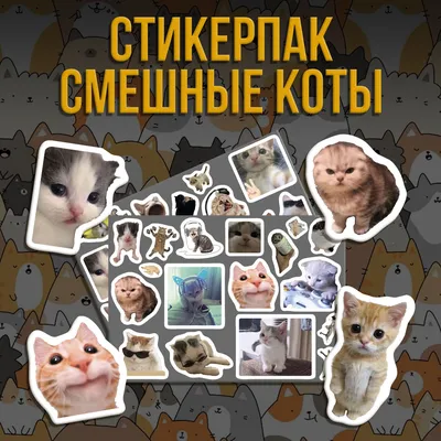 Значки Мемы с Котиками. Смешные коты ВТренде 144944468 купить за 170 ₽ в  интернет-магазине Wildberries