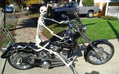 20 смешных мотоциклов на фото