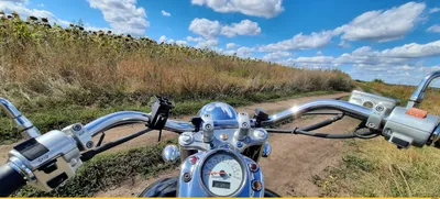 Фото смешного мотоцикла в HD качестве