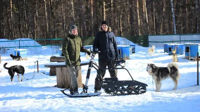 Мотобуксировщик Tinger-Dog купить в Москве по низкой цене - Магазин Иллеон