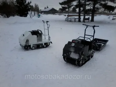 Снегоход для ездовых собак | Гусеницы мото и электро | Дзен