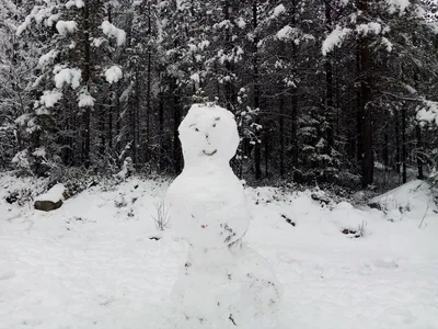 Уникальные фото Снеговика и снежной бабы для скачивания бесплатно