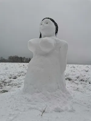 Фото Снеговика и снежной бабы в волшебной зимней стороне