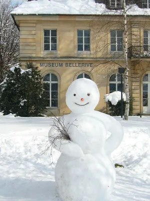 Фото Снеговика и снежной бабы в стиле фэнтези для загрузки