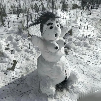 Фотографии Снеговика и снежной бабы в 4K разрешении