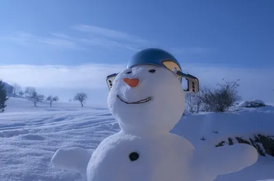 Скачать фото Снеговика и снежной бабы в формате jpg