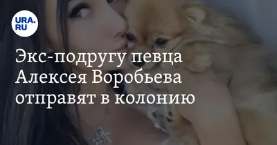 Алексей Воробьев и Моцарт: здоровая собака - это вам по зубам |  OK-magazine.ru