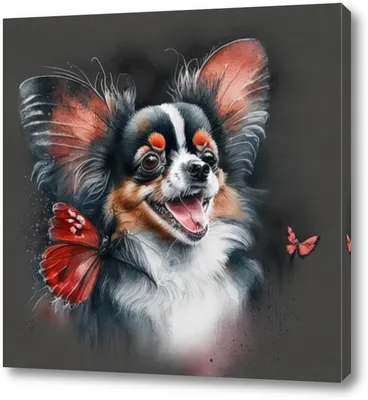 Собака Млекопитающее Бабочка - Бесплатное фото на Pixabay - Pixabay