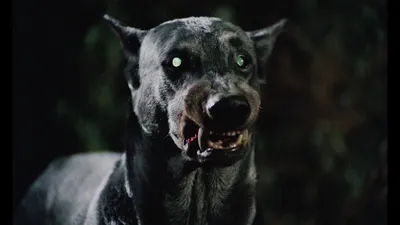Собака Баскервилей» — создано в Шедевруме