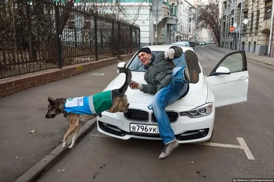 Собаки даже знают как Mercedes и BMW делают 🤣🤣🤣 #mercedes #mercedesbenz  #mercedesamg #merc #mersedes #amg #bmw #bmwm5 #bmw | Instagram