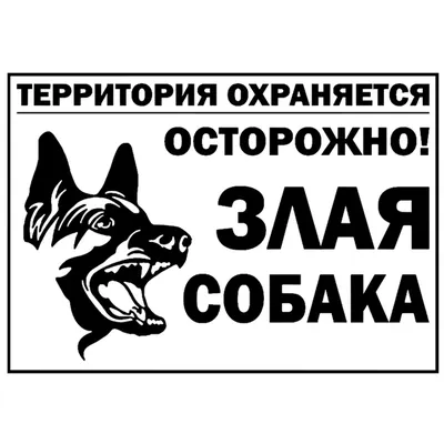 AUTO.RIA – Продам БМВ 3 Серия 2003 (BC6417OM) бензин 1.8 универсал бу в  Львове, цена 4500 $