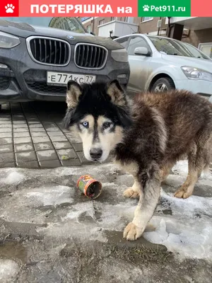 1 год - 30 000км