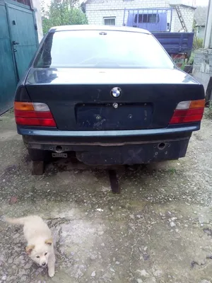 82200308653 BMW БЕЗОПАСНАЯ ШЛЕЙКА ДЛЯ СОБАК по спец цене купить в  Екатеринбург, ул.Культуры, д.25