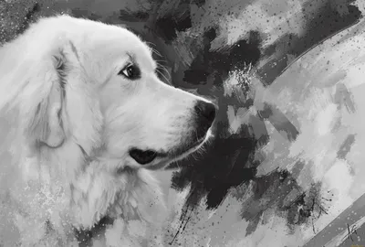 черная собака на белом фоне PNG , собака, черный, мультфильм собака PNG  картинки и пнг PSD рисунок для бесплатной загрузки