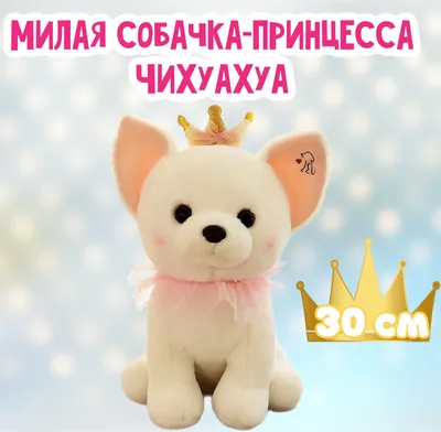 Реалистичная собака чихуахуа, Высококачественная Милая плюшевая собака,  плюшевые игрушки, реалистичные животные, имитация мягкой куклы, игрушка  Kawai, подарки для детей | AliExpress