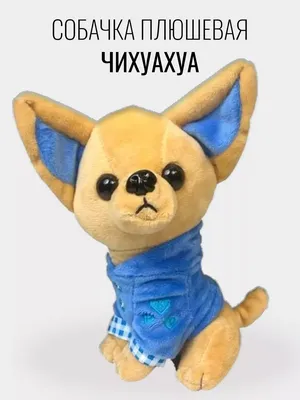 мультфильм собака породы чихуахуа Stock Photo | Adobe Stock