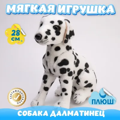 Радиоуправляемая интерактивная Собака Далматинец (19 см) - YR-66001 купить  по выгодной цене от интернет-магазина Тойбест