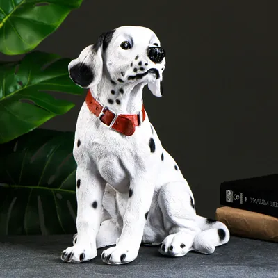 Собака далматинец щенок - красивые фото