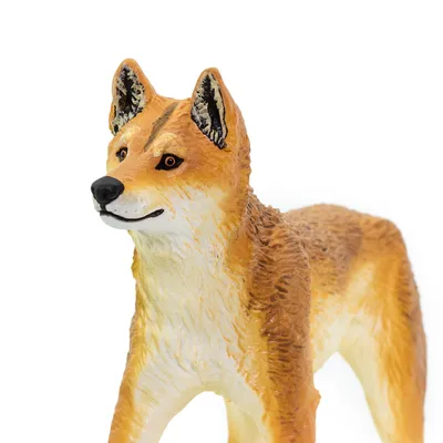 Собака Динго: символ свободы, преданности и духа приключений» — создано в  Шедевруме