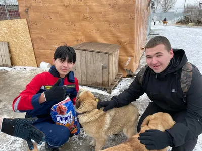 Мастер-класс в средней группе «Собака — друг человека» (11 фото).  Воспитателям детских садов, школьным учителям и педагогам - Маам.ру