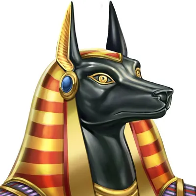SOBAKI.PRO | Породы собак | Фараонова собака | Фото 40021