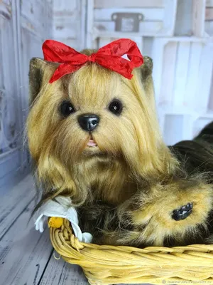 Фигура садовая «Собака Йорк с щенками» h30 см по цене 1102 ₽/шт. купить в  Уфе в интернет-магазине Леруа Мерлен