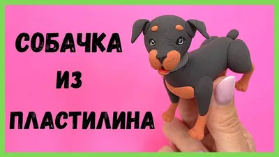 Как слепить собаку Собака из пластилина Животные из пластилина Лепим собаку  Из пластилина Для детей - YouTube