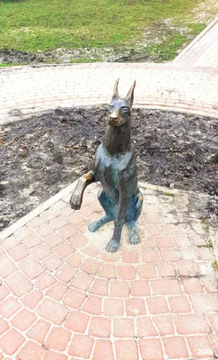 Скульптура \"Собака Качалова\", Белгород — 2ГИС