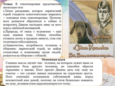 В Лиде проведена уникальная для Беларуси операция по вживлению бионического  протеза вместо задней конечности у собаки