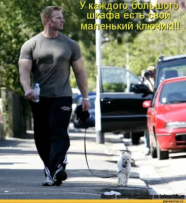 Мужская футболка хлопок Slim Мем собака качок DOGE ❤ — купить по выгодной  цене на «Все Футболки.Ру» | Принт — 2962935 в Смоленске