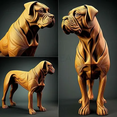 Кане корсо собака, Природа 3D модель для ЧПУ: STL / MAX (obj)