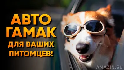 Автогамак для животных PetSafe Чехол в багажник для собак Happy Ride Cargo  Area Liner - купить по выгодным ценам в интернет-магазине OZON (319875398)