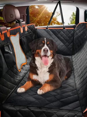 Защитная накидка автомобильная для перевозки собак на заднем сиденье Много  Везу, 160х130 - отзывы покупателей на Мегамаркет