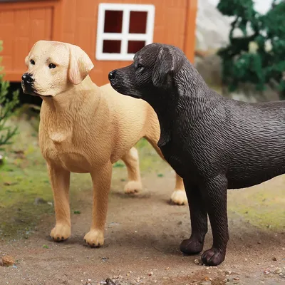 Собака лабрадор, 12 собак выходят из…» — создано в Шедевруме