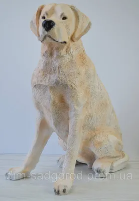 Собака Лабрадор ретривер модель питомца фигурки животных познавательная  фигурка миниатюрная коллекционная игрушка для детей статуя подарки |  AliExpress